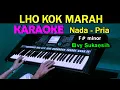 Download Lagu LHO KOK MARAH - Elvy Sukaesih | KARAOKE Nada Pria