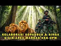 Lagu BRAVO ‼️ KOLABORASI KOPASSUS \u0026 SINGASISIR AREA MARKAS KKB-OPM