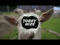 Download Lagu Rian - Schwarzes Schaf (Ziegen Song) (TOBEY NIZE REMIX)