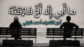 س أ لوني ل م  ل م أ رث  أ بي    أمير الشعراء أحمد شوقي دندنها