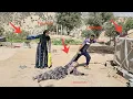 Download Lagu The End of the Rice Field: Preventing the Husband from Taking the Second Wife to the Rice Field