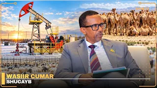 "Shidaal kama shaqayno ee laf-dhabarteenu waa xoolaha nool” Wasiir Cumar Shucayb