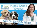 Puppy Vaccines by Georgia Veterinary Associates and Dr Hines