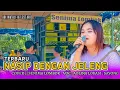 Download Lagu NASIP DENGAN JELENG COVER || AOLINA ALFIA LESTARI - SENIMA LOMBOK