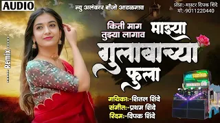  majha gulabacha fula new alankar banjo group adalgaon active pad mix song