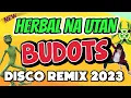 Download Lagu HERBAL NA UTAN - VIRAL BUDOTS REMIX 2023 - DJ JOHNREY REMIX