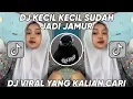 Download Lagu DJ KECIL KECIL SUDAH JADI JAMUR JANDA JANDA DIBAWAH UMUR VIRAL TIKTOK 2023 DJ KECIL SUDAH JADI JAMUR