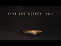 Download Lagu FIVE THE HIEROPHANT - Initiatory Sickness (Official Track Stream)