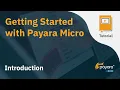 Getting Started With Payara Micro 5 - Introduction