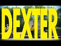 play pretend - dexter in the newsagent