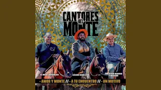 amor y monte a tu encuentro un motivo