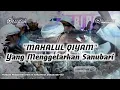 Download Lagu Mahalul Qiyam \u0026 Ceramah Habib Abdurrahman Bilfaqih | Menggetarkan Sanubari 😭