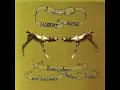 Modest Mouse - The Air
