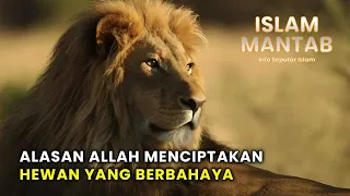 subhanllah inilah alasan allah menciptakan hewan hewan yang berbahaya