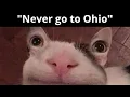 Mega Ohio Compilation Full Story Beluga Kahoot