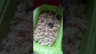 Kado spesial dari KEI buat Ade Putri Paramadita