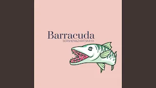 barracuda