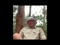 Download Lagu Bintang bucket hat review