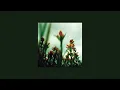 Beach House - Take Care Lyrics