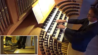 g thalben ball elegy