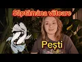 Lagu Zodia Pești ♓️  15-21 Decembrie Tarot Horoscop zodiac 