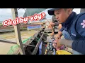 Lagu Câu Cá Thiên Nhiên Trên Sông Tiền | Cá Gì Mà Kéo Muôn Gãy Cần ? | KuTee Sa Đéc