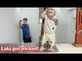 Download Lagu Lala is tricked by Dad to go for a walk to take her to a new house as a surprise!