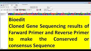 How to merged the sequence of farward and reverse primers sequencing result of the gene