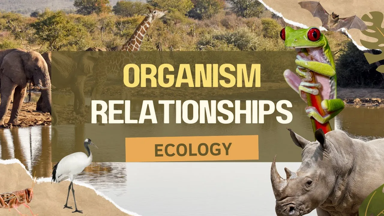 Community Ecology: Organism relationships explained