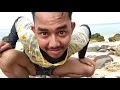Download Lagu pas Band - Pantai Abis