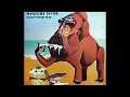 Fleetwood Mac Hypnotized 1973 Classic Rock Purrfection Version