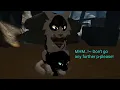 The Male Calico Cat Part 1 WCUE HEAT 14