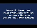 NodeJS How can I pass parameters when calling a Node js script from PHP exec