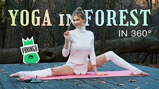Yoga & Stretching with Anna • 360 Degrees • ASMR • 4K • VR Video
