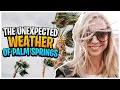 It s Not Always Sunny in Palm Springs - Palm Springs Weather