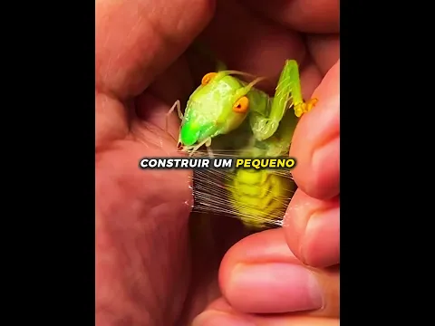 Esse inseto construiu um pequeno ninho na mão dele ❤️