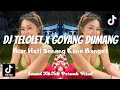 Download Lagu DJ TELOLET X GOYANG DUMANG BIAR HATI SENANG YANG KANE DAN VIRAL DI TIKTOK