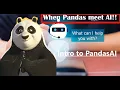 Pandas AI tutorial Open AI AI meets Pandas