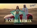 Lagu Habibi Dance Remix 2025 – Arabic EDM Sunset Festival Vibes