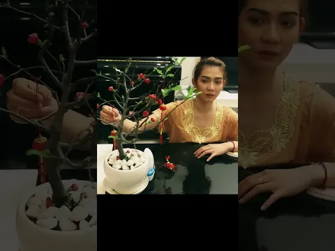 BB&BG : khi nhà toàn phụ nữ có người nhấn chuông #shorts