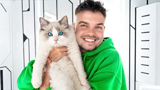 POZNAJCIE MOJEGO NOWEGO KOTKA KISIELKA! 🐱