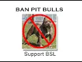 There Are No Bad Dogs Only Bad Owners Ban Bully Breeds NOW