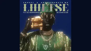 xduppy x angekebabuye mc lwetse official audio feat dj maphorisa x mluusician