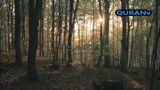 ماهر المعيقلي قل يا عبادي دندنها