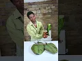 Download Lagu Step by step guide on how to wrap moi moi leaves