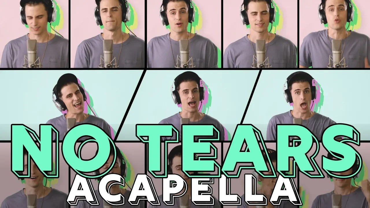 Ariana Grande - no tears left to cry [ACAPELLA COVER]