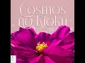 Download Lagu JKT48 - Cosmos no Kioku [コスモスの記憶] / Ingatan Cosmos