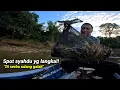 Download Lagu BEGINILAH JADINYA PEMANCING BAUNG NEMU SPOT UDANG GALAH STRIKE SAMPAI CAPEK!! 