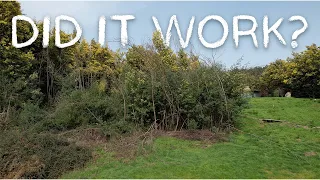 #186 What this forest looks like 3 years after debarking every tree