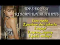 Download Lagu DJ Remix pariban dari kota jakarta